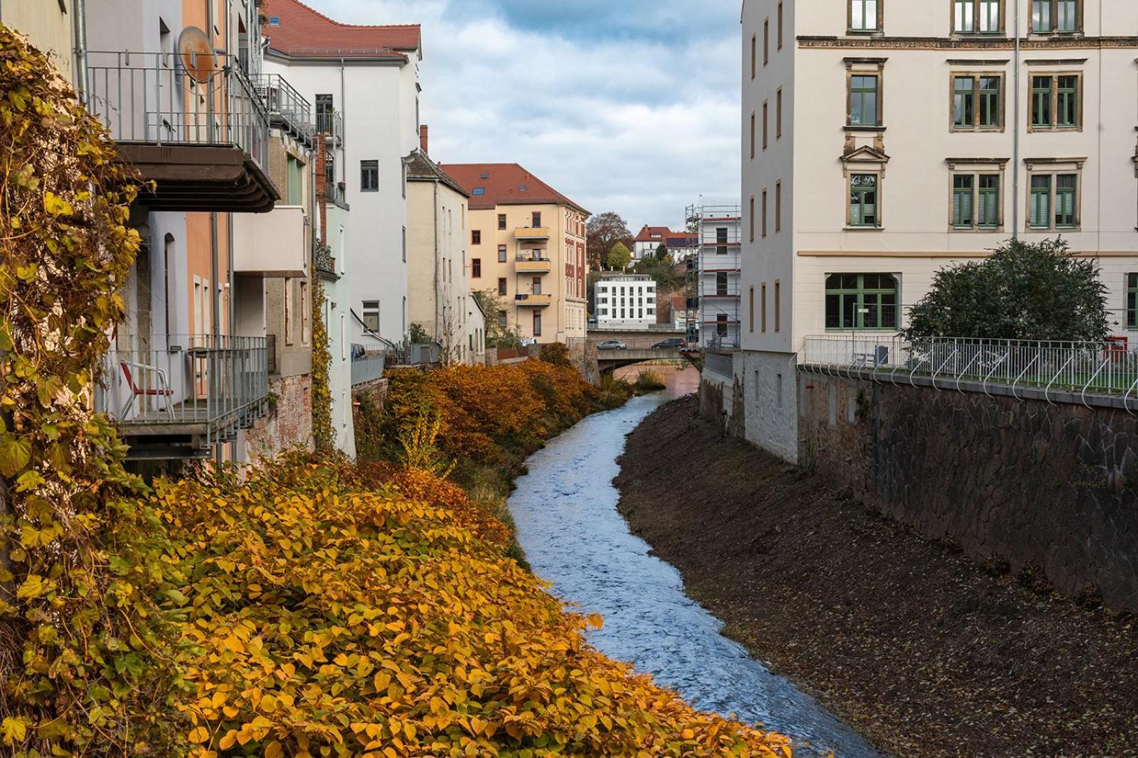 Benville - Free Parking - Nespresso Kaffee - Stylisch Apartment Meissen